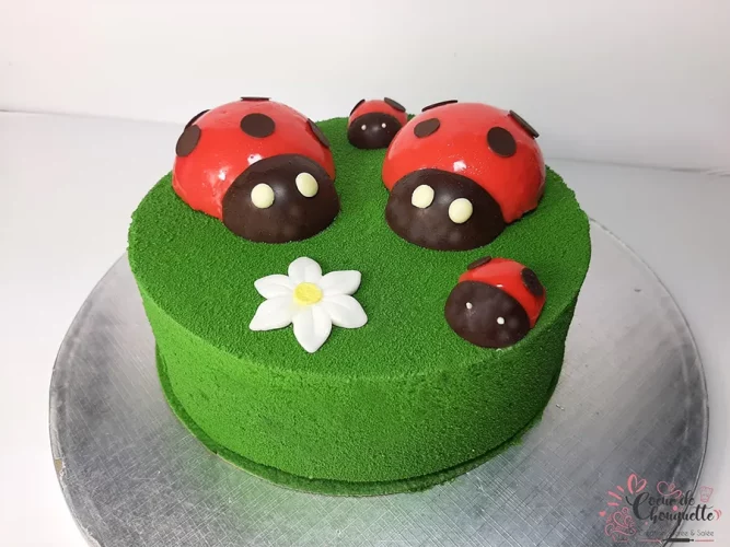 Entremet coccinelle