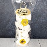 Sachet de 10 meringues Halloween 1